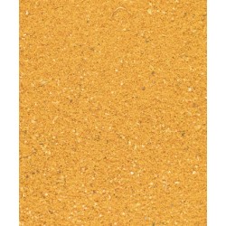 Curry en poudre (1kg)