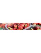 Barquettes Plastique